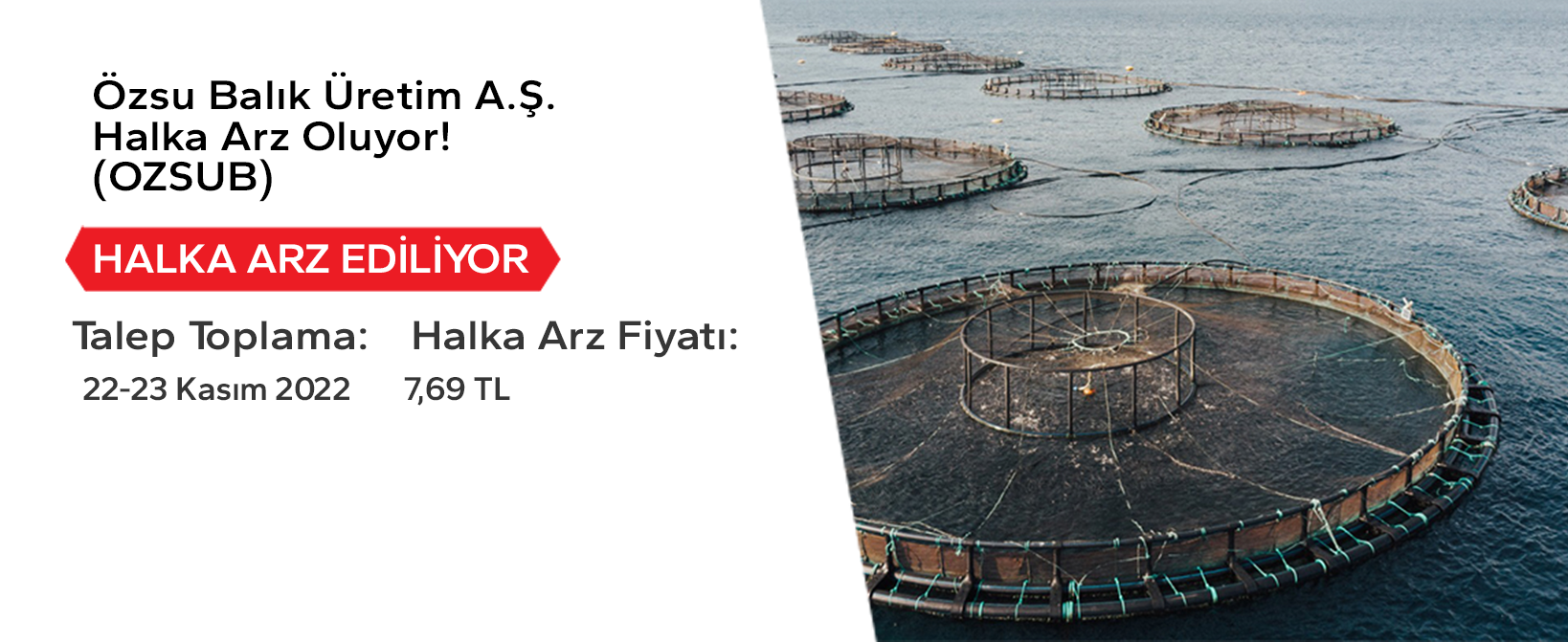 2022/ozsubalik